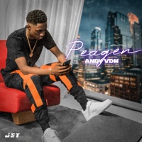 Peagen - Single - Andy VDM