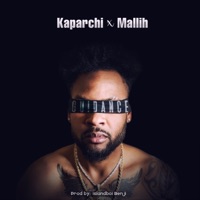 Guidance - Single - Kaparchi & Mallih