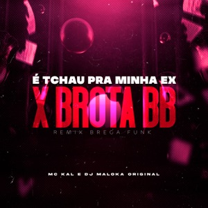 É Tchau pra Minha Ex X Brota Bebê (Remix Brega Funk)