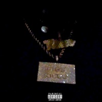 4 REAL - Single - RICCO FINESSER