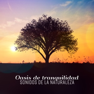 Oasis de tranquilidad – Sonidos de la naturaleza relajantes y hermosas para dormir mejor, calmar la mente e meditar