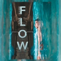Gotta Have Flow - Single - Fer Rivero