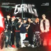 Gang by Il Nene De Oro, Drakomafia, Llegale Al Flow Chamako, Raw-Lee, Kevin Idarraga, Dbs, El BAI iTunes Track 1