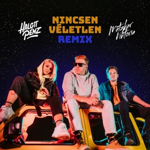 Nincsen Véletlen (feat. Metzker Viktória) [Metzker Viktória Remix]