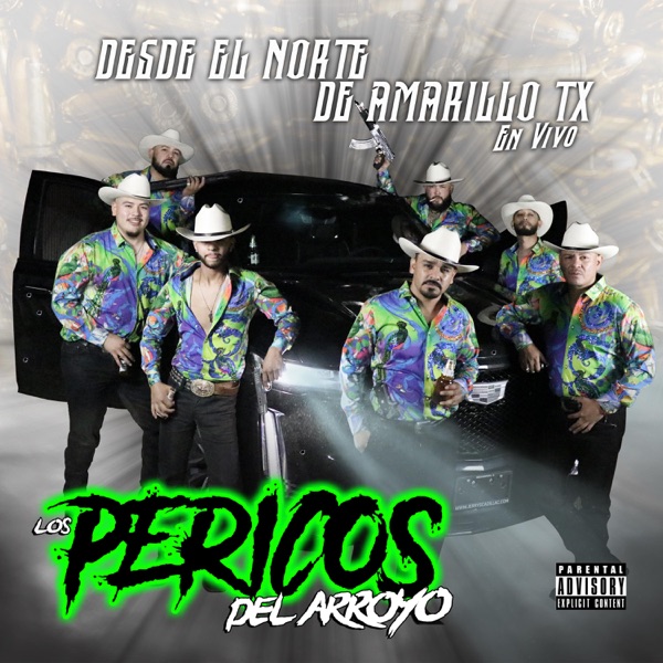 Download Los Pericos Del Arroyo En Vivo Desde El Norte De Amarillo Tx (En vivo) Album MP3