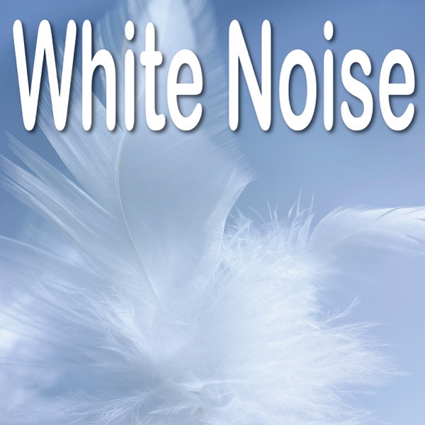 White Noise Blow Dryer