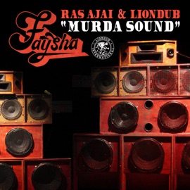 Murda Sound (Dunk Remix [Instrumental Version]) Faysha & Liondub