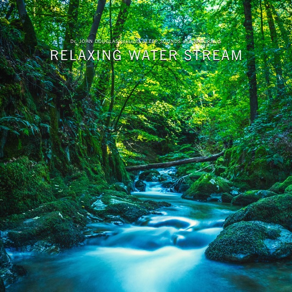 Relaxing Water Stream