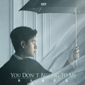 You Don't Belong to Me ("More than Blue" TV Series Theme Song) artwork