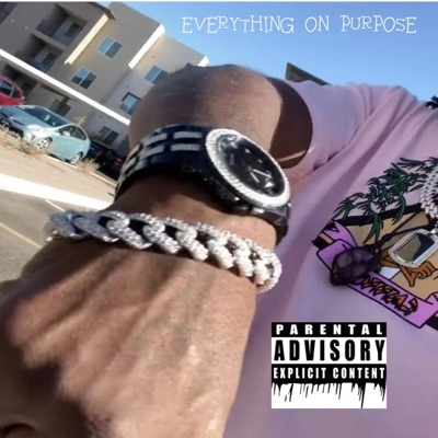 Everything On Purpose - Single