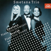 Piano Trio in G Minor, Op. 15, JB 1:64: III. Finale. Presto - Smetana Trio