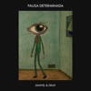 Pausa determinada - Single