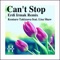 Can't Stop (Erdi Irmak Remix) [feat. Lisa Shaw] - Kentaro Takizawa lyrics