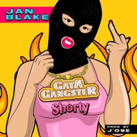 Gata Gangster - Single - Jan Blakeee