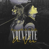 Volverte a ver - Single - Sektro