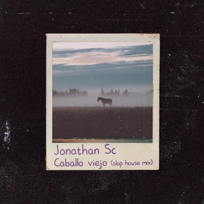 Caballo Viejo The Slap house mixes - Single