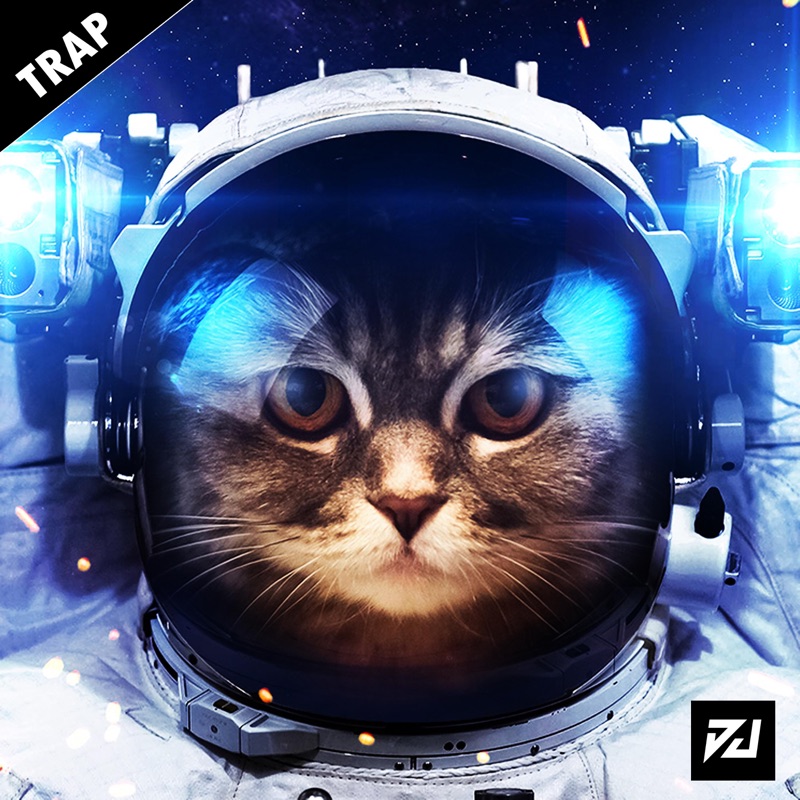 Levan Polkka Cat Vibing Meme Trap Edition Pedrodjdaddy Song Lyrics Levan Polkka Cat Vibing Meme Trap Edition Pedrodjdaddy Song Lyrics