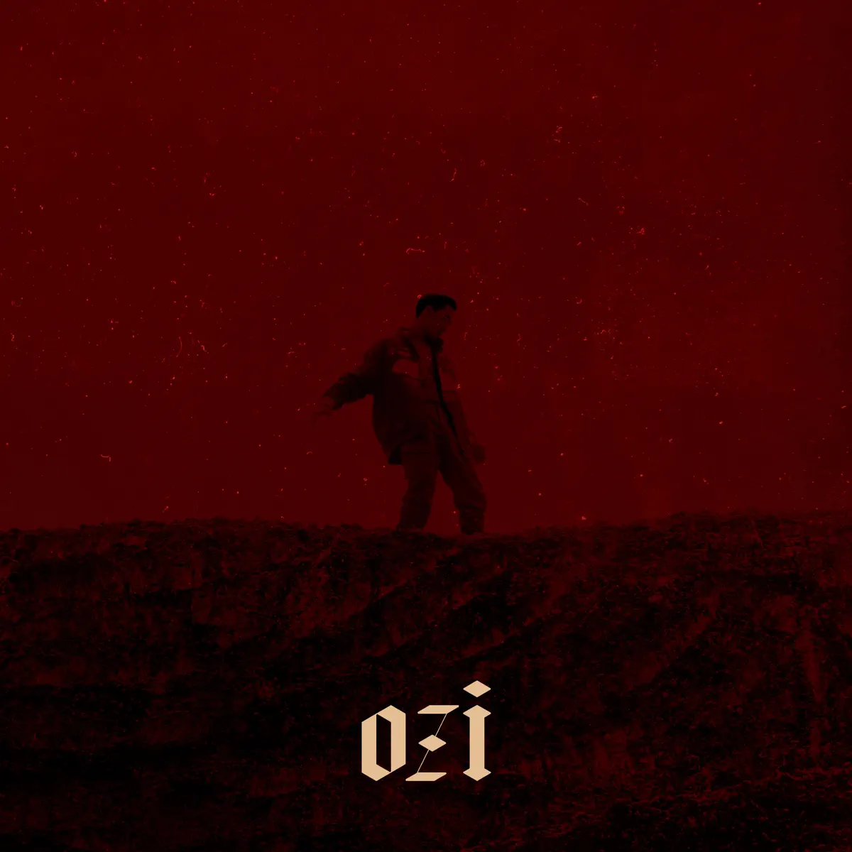 ØZI - ØZI: The Album (2018) [iTunes Plus AAC M4A]-新房子