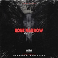 Bone Marrow - EP - SH4RD