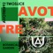 Roots in Green - TwoSlice lyrics