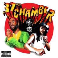 37TH CHAMBER (feat. Marcy Mane) - Single - Ryan Hawaii
