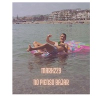No pienso bajar - Single - MARK229