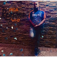 Reasons Why (Radio Edit) [Radio Edit] - Single