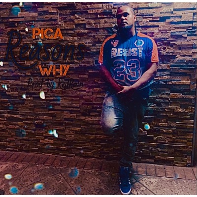 Reasons Why (Radio Edit) [Radio Edit] - Single