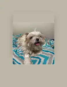 Posłuchaj wykonawcy NexFlax, obejrzyj teledyski, przeczytaj biografię, zobacz daty tras koncertowych i nie tylko!