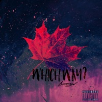 Which Way? - Single - Grenayd