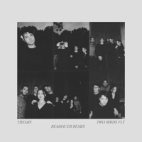 Two Birds Fly (Remancer Remix) - Single - Remancer