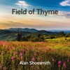 Field of Thyme - Single