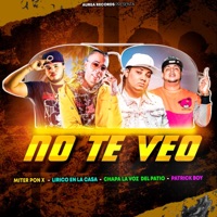 No Te Veo (feat. Lirico En La Casa, Patrick Boy & Chapa La Voz Del Patio) - Single - Miter Pon X