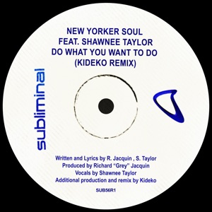 Do What You Want to Do (feat. Shawnee Taylor) [Kideko Remix] - Single