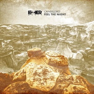 Feel the Night - Single