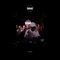 Bugg'n - TNGHT lyrics