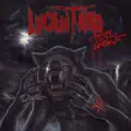 In Metal We Trust