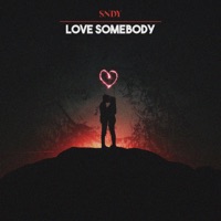 Love Somebody - Single - SNDY