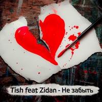 Не забыть (feat. Zidan) - Single - Tish