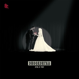 Dhookoffaa (feat. Toy) Zya