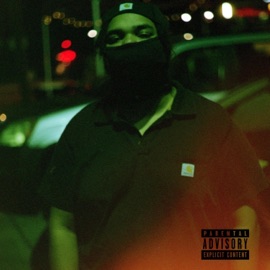 ARE U LONELY (feat. RARE) DiZRAPS