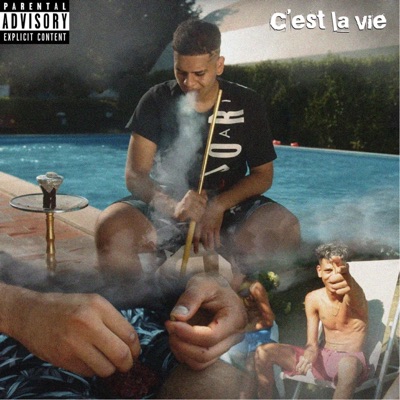 C'est la vie - Single