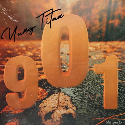 901 (765 Remix) - Single