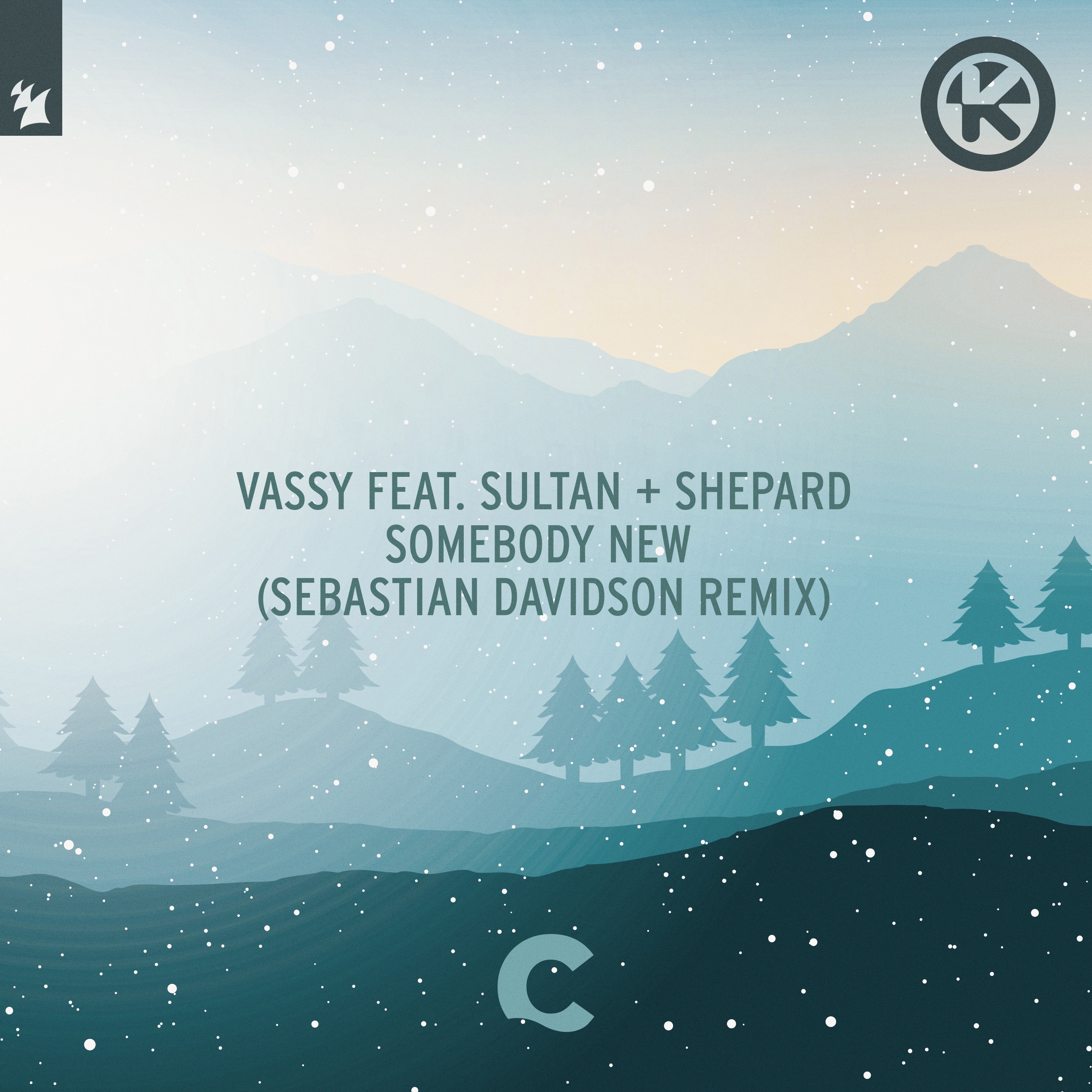 Somebody New (Sebastian Davidson Remix) [feat. Sultan + Shepard] [Remixes] - Single