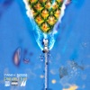 Pineapple Juice - Single