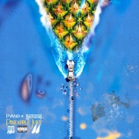 Pineapple Juice - Single - Pyano ll