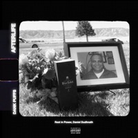 AfterLife - Single - Dank Puffs