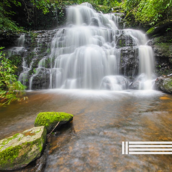 Forest Waterfall Sounds (Loopable)