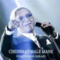 Cheshmat Male Mane