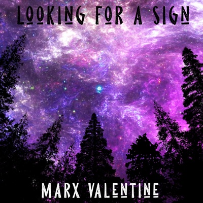 Looking for a Sign - Single